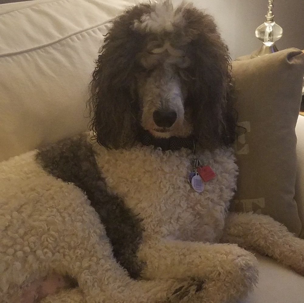 Meet your Posher, Virginia